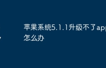 苹果系统5.1.1升级不了app怎么办