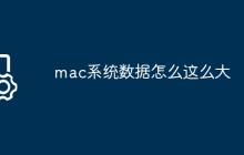 mac系统数据怎么这么大