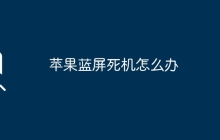 苹果蓝屏死机怎么办