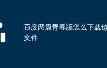 百度网盘青春版怎么下载链接文件