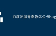 百度网盘青春版怎么卡bug