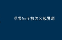 苹果5s手机怎么截屏啊