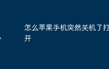 怎么苹果手机突然关机了打不开