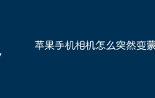 苹果手机相机怎么突然变蒙了