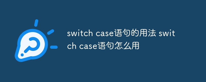 switch case语句的用法 switch case语句怎么用 - 小浪云数据