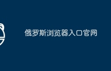 俄罗斯浏览器入口官网