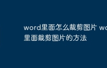 word里面怎么裁剪图片 word里面裁剪图片的方法