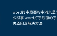 word打字后面的字消失是怎么回事 word打字后面的字消失原因及解决方法
