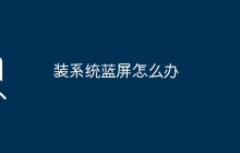 装系统蓝屏怎么办