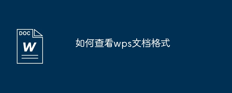 如何查看wps文档格式