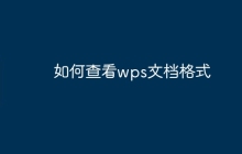 如何查看wps文档格式