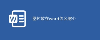 图片放在word怎么缩小