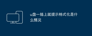 u盘一插上就提示格式化是什么情况