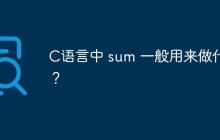C语言中 sum 一般用来做什么？