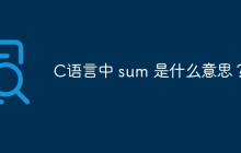 C语言中 sum 是什么意思？