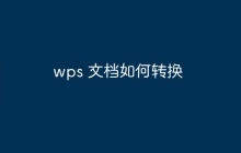 wps 文档如何转换