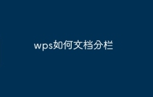 wps如何文档分栏