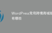 WordPress常用跨境商城插件有哪些