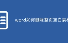 word如何删除整页空白表格