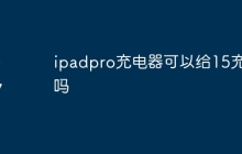 ipadpro充电器可以给15充电吗