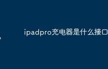 ipadpro充电器是什么接口