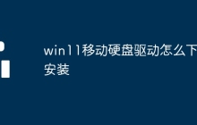 win11移动硬盘驱动怎么下载安装