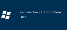 can windows 10 boot from usb