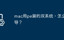 mac用pe装的双系统，怎么引导？