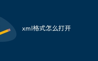 How to open xml format