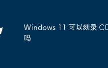 Windows 11 可以刻录 CD 吗