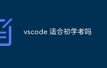 vscode 适合初学者吗