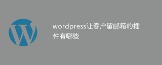 What plug-ins are there for wordpress to let customers keep their email address?