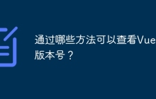通过哪些方法可以查看Vue的版本号？