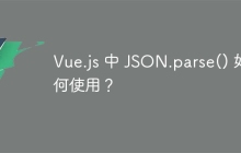 Vue.js 中 JSON.parse() 如何使用？