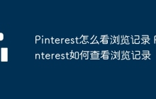 Pinterest怎么看浏览记录 Pinterest如何查看浏览记录