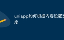 uniapp如何根据内容设置宽度