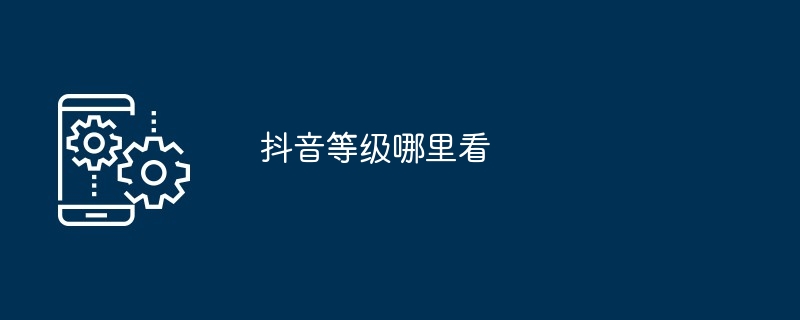 抖音等级哪里看