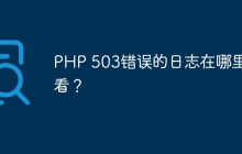 PHP 503错误的日志在哪里查看？