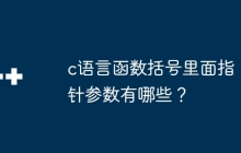 c语言函数括号里面指针参数有哪些？