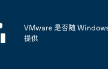 VMware 是否随 Windows 提供