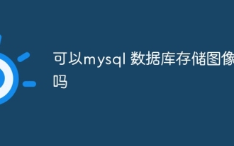 Kann MySQL -Datenbank Bilder speichern?