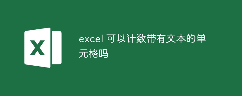 excel 可以計數帶有文本的單元格嗎 - 小浪云數據