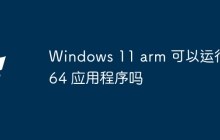 Windows 11 arm 可以运行 x64 应用程序吗