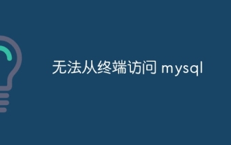 터미널에서 MySQL에 액세스 할 수 없습니다