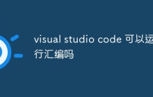 visual studio code 可以运行汇编吗