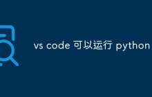 vs code 可以运行 python 吗