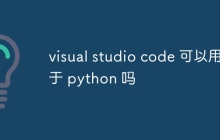 visual studio code 可以用于 python 吗