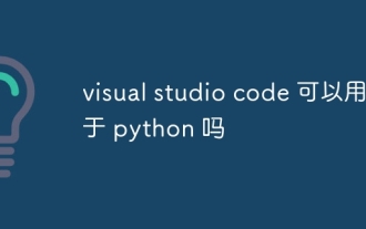 Can visual studio code be used in python