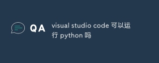visual studio code 可以运行 python 吗