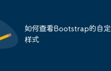 如何查看Bootstrap的自定义样式